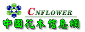 width=100px