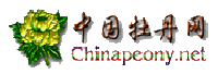 width=100px